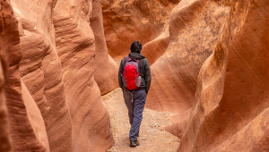 A hiker with a red backpack standing in the mountains