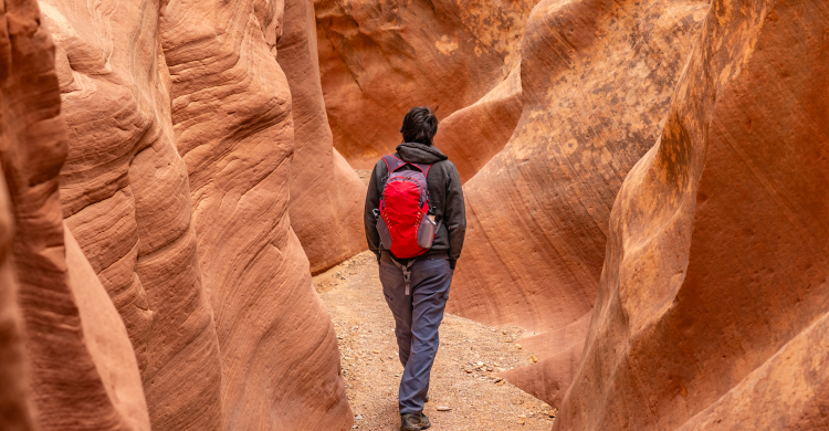 A hiker with a red backpack standing in the mountains