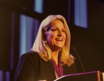 Lynn Steffes, PT, DPT- Speaker/Consultant Photo