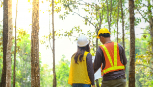 Two forest rangers discussing a forest management plan