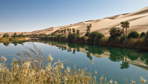 An oasis of blue water surrounded by desert