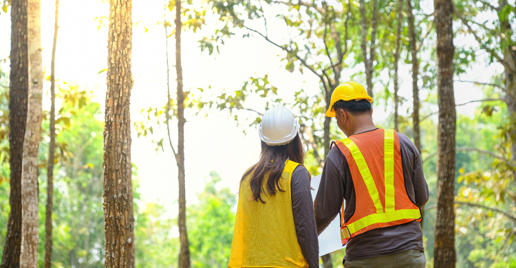 Two forest rangers discussing a forest management plan