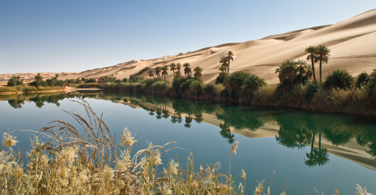 An oasis of blue water surrounded by desert