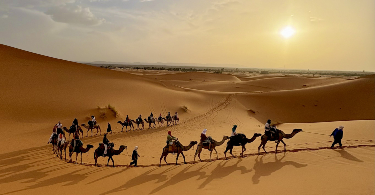 A line of camels with riders crossing a desert